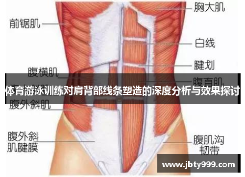 体育游泳训练对肩背部线条塑造的深度分析与效果探讨